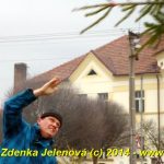 V Čížové létaly vzduchem vánoční stromky