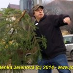 V Čížové létaly vzduchem vánoční stromky