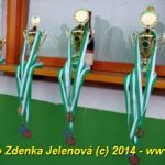 V Čížové létaly vzduchem vánoční stromky