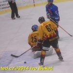 Hokej – krajská liga: Soběslav porazila Božetice. Hráčům mezitím nabourali auta