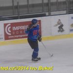 Hokej – krajská liga: Soběslav porazila Božetice. Hráčům mezitím nabourali auta