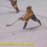 Hokej – krajská liga: Soběslav porazila Božetice. Hráčům mezitím nabourali auta
