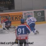 Hokej: Táborští kohouti znovu dali výsledek 8:1
