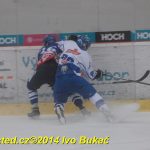 Hokej: Táborští kohouti znovu dali výsledek 8:1
