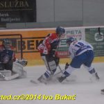Hokej: Táborští kohouti znovu dali výsledek 8:1