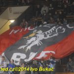 Hokej: Táborští kohouti znovu dali výsledek 8:1