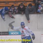 Hokej: Táborští kohouti znovu dali výsledek 8:1