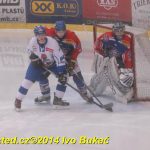 Hokej: Táborští kohouti znovu dali výsledek 8:1