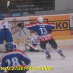 Hokej: Táborští kohouti znovu dali výsledek 8:1