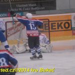 Hokej: Táborští kohouti znovu dali výsledek 8:1