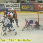 Hokej: Táborští kohouti znovu dali výsledek 8:1