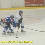 Hokej: Táborští kohouti znovu dali výsledek 8:1
