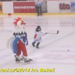 Hokej: Táborští kohouti znovu dali výsledek 8:1
