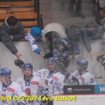 Hokej: Táborští kohouti znovu dali výsledek 8:1