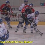 Hokej: Táborští kohouti znovu dali výsledek 8:1