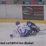 Hokej: Táborští kohouti znovu dali výsledek 8:1