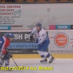 Hokej: Táborští kohouti znovu dali výsledek 8:1