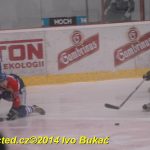 Hokej: Táborští kohouti znovu dali výsledek 8:1