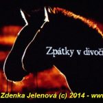 Divadlo v Písku přivítalo rok dřevěného koně