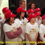 Hravý architekt. Další výstavu zahájili v písecké Sladovně
