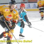 Božetické Plameny se loučily hokejovou exhibicí