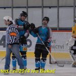 Božetické Plameny se loučily hokejovou exhibicí