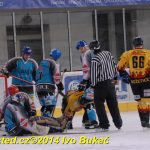 Božetické Plameny se loučily hokejovou exhibicí
