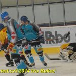 Božetické Plameny se loučily hokejovou exhibicí