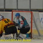 Božetické Plameny se loučily hokejovou exhibicí