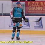 Božetické Plameny se loučily hokejovou exhibicí