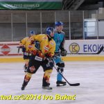 Božetické Plameny se loučily hokejovou exhibicí