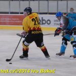 Božetické Plameny se loučily hokejovou exhibicí