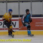Božetické Plameny se loučily hokejovou exhibicí