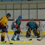 Božetické Plameny se loučily hokejovou exhibicí