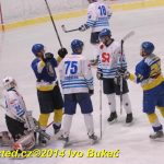 Hokej: Do semifinále krajské ligy jde Veselí. Soběslav končí