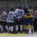 Hokej: Do semifinále krajské ligy jde Veselí. Soběslav končí