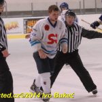 Hokej: Do semifinále krajské ligy jde Veselí. Soběslav končí