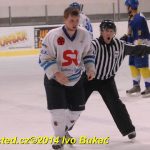 Hokej: Do semifinále krajské ligy jde Veselí. Soběslav končí