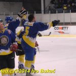 Hokej: Do semifinále krajské ligy jde Veselí. Soběslav končí