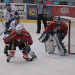 Hokej: Kohouti porazili jablonecké Vlky. V prvním kole play off přivítají Klatovy