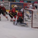 Hokej: Kohouti porazili jablonecké Vlky. V prvním kole play off přivítají Klatovy