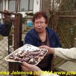 Maškary v Čížové dostaly od místních bohaté pohoštění