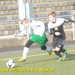 Fotbal: Turnaj starších žáků v Táboře vyhrálo Dynamo