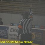 Hokej: Tábor padl. Dnes neměl střelecký den