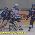 Hokej: Tábor padl. Dnes neměl střelecký den