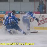 Hokej: Tábor padl. Dnes neměl střelecký den
