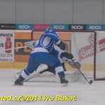 Hokej: Tábor padl. Dnes neměl střelecký den