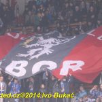Hokej: Tábor padl. Dnes neměl střelecký den