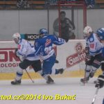 Hokej: Tábor padl. Dnes neměl střelecký den