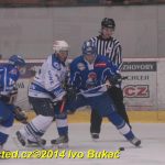 Hokej: Tábor padl. Dnes neměl střelecký den